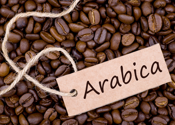 قهوه عربی یا عربیکا نوعی دانه است که تقریباً ۸۰٪ از تولید جهانی را تسخیر می کند